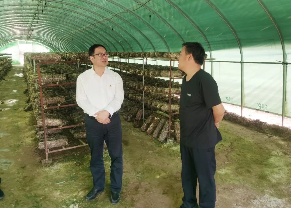 陜鋼集團開展抓黨建促鄉(xiāng)村振興工作調研