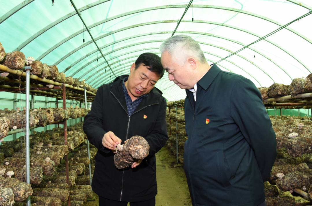楊海峰到綏德縣西直溝村開展助力鄉(xiāng)村振興工作調研