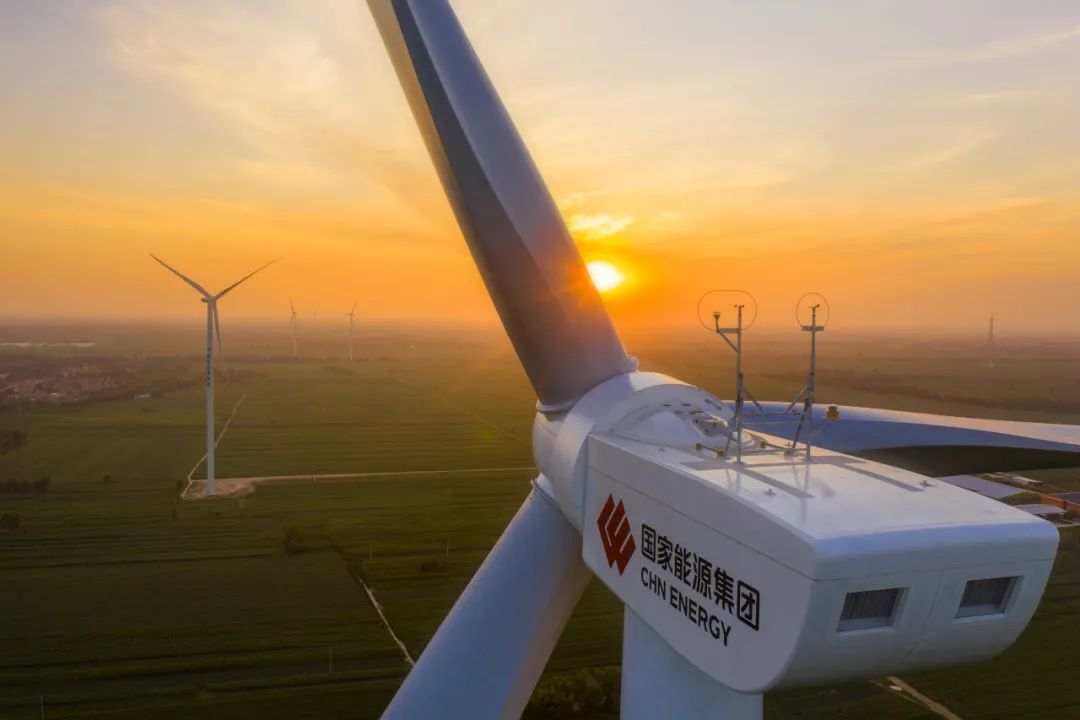 “禹龍”鋼材賦能國能白水風電項目，鑄就綠色能源合作典范